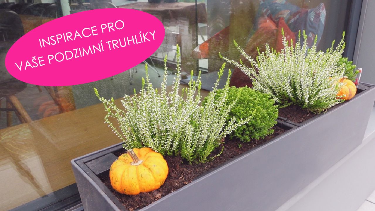 Podzimní truhlíky | Podzimní zahrady | Nápady DIY | Stream