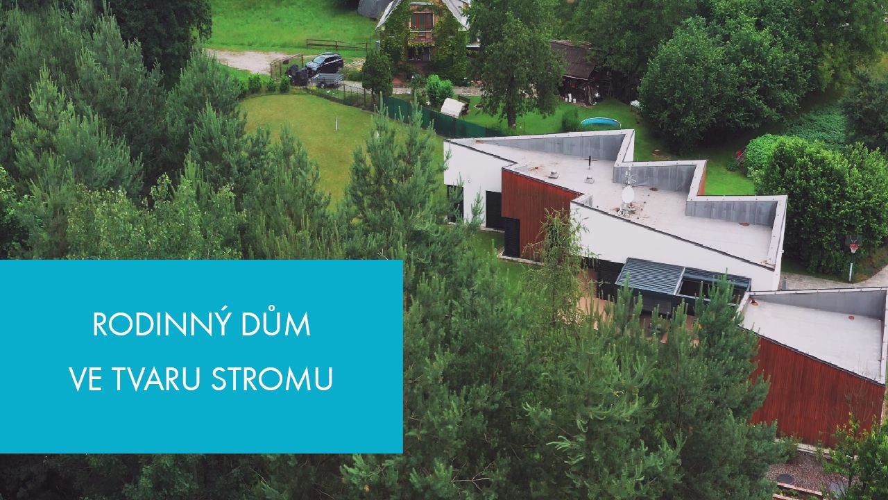 Rodinný dům ve tvaru stromu | Stream